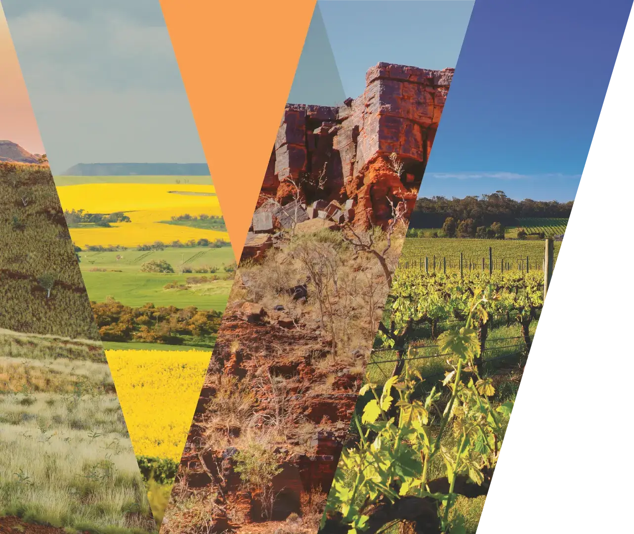 Pattern with different Western Australian Landscapes